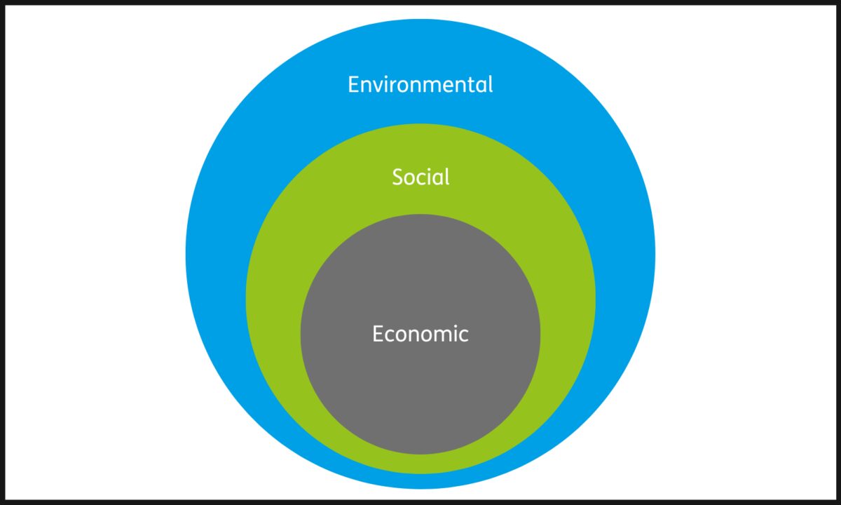 Nested circles of sustainability