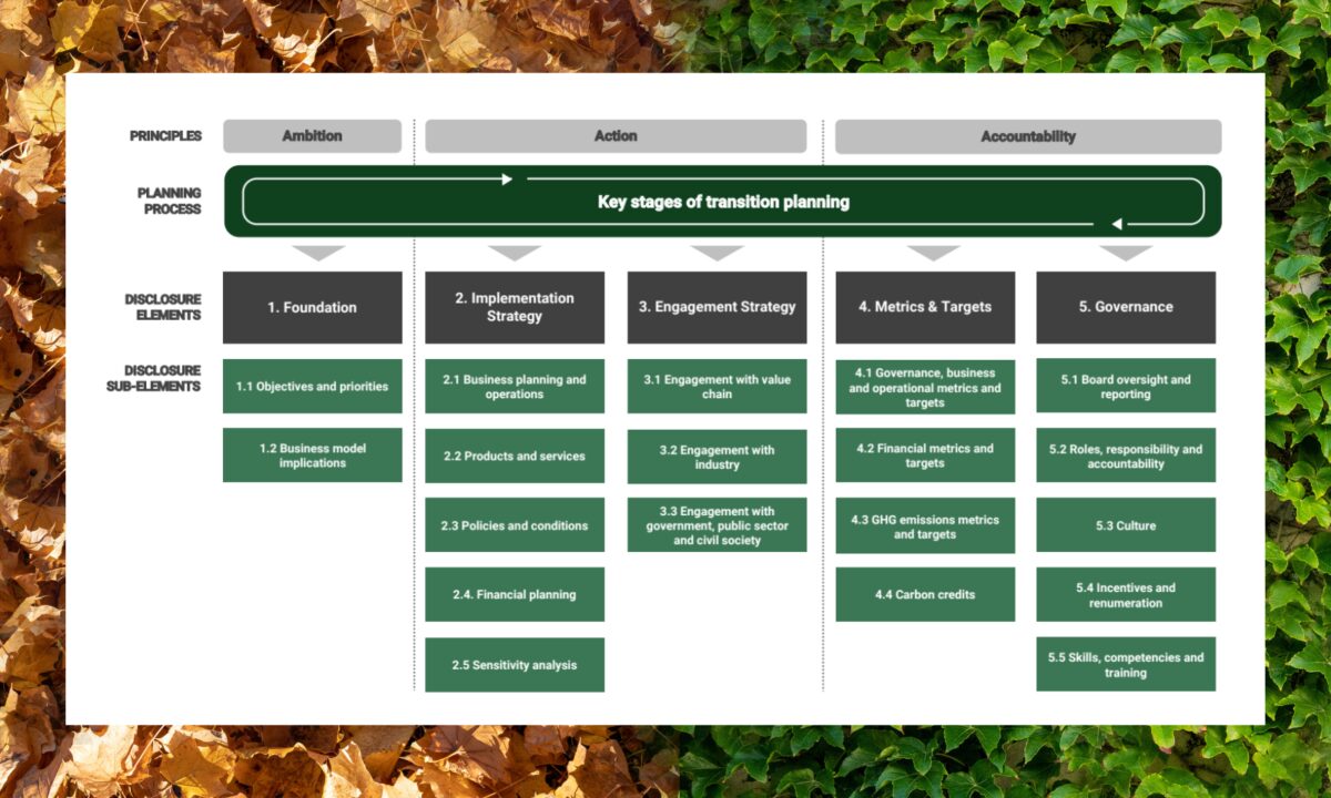 Tcfd transition plans tpt disclosure framework