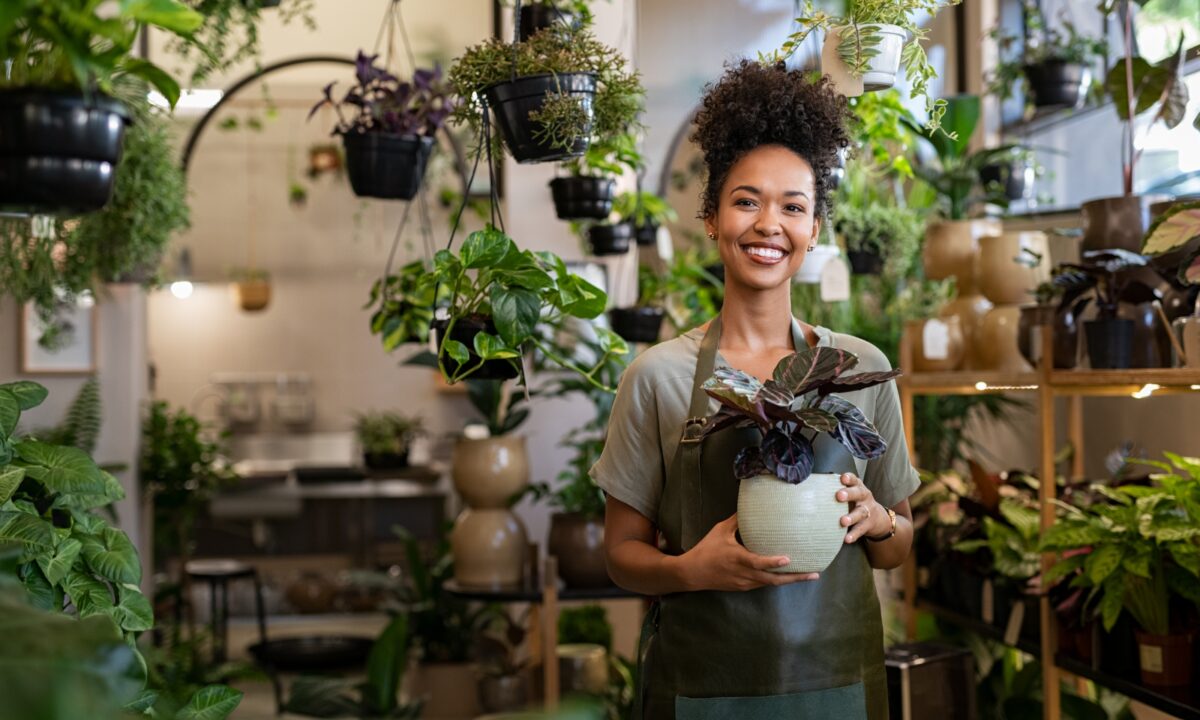 Carbon accounting toolkit small business web banner