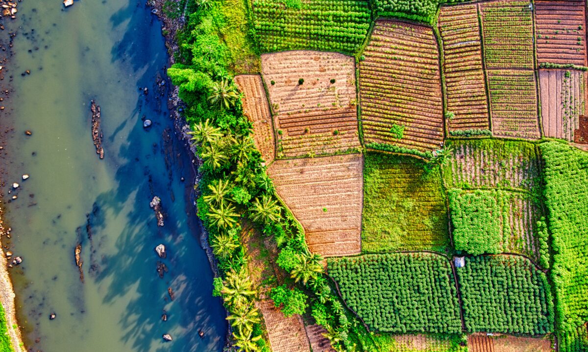 Carbon offsetting aerial