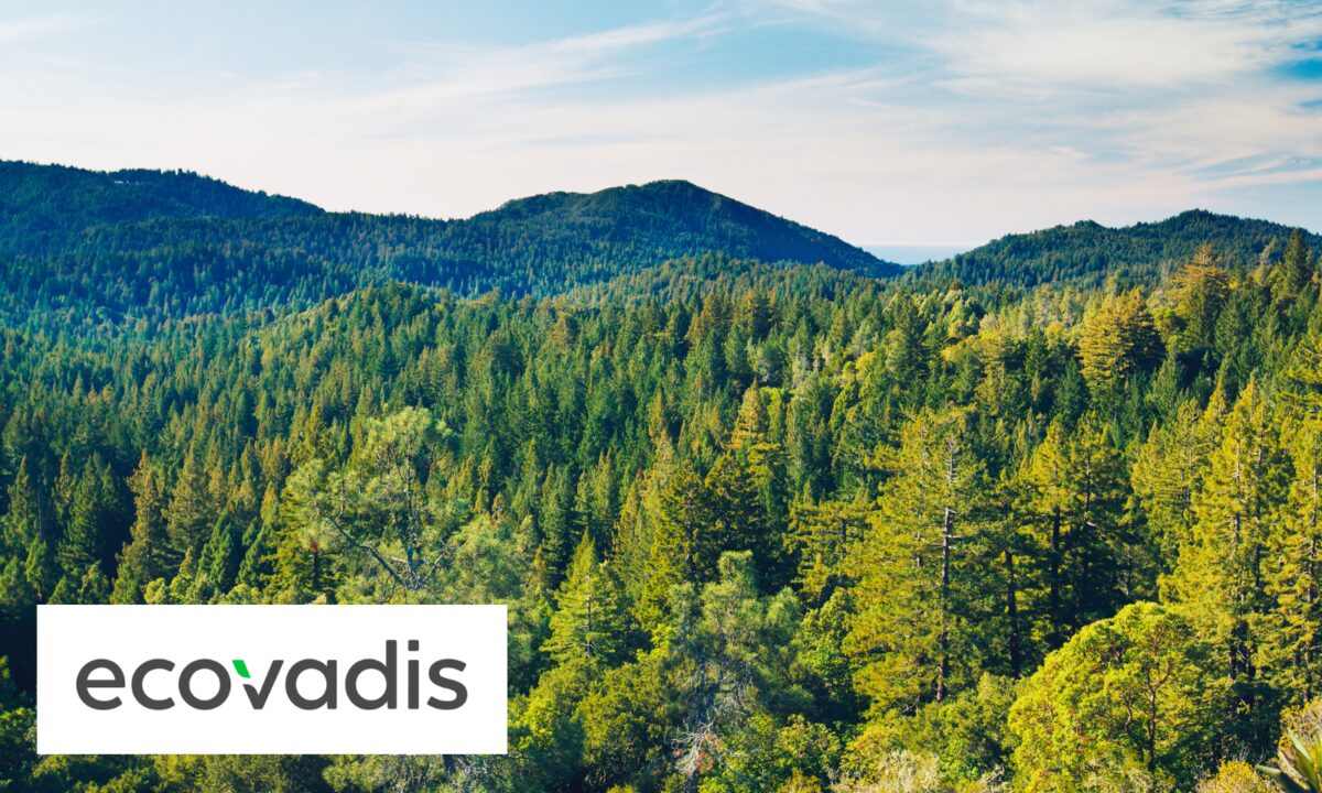 Eco Vadis consultancy support in page