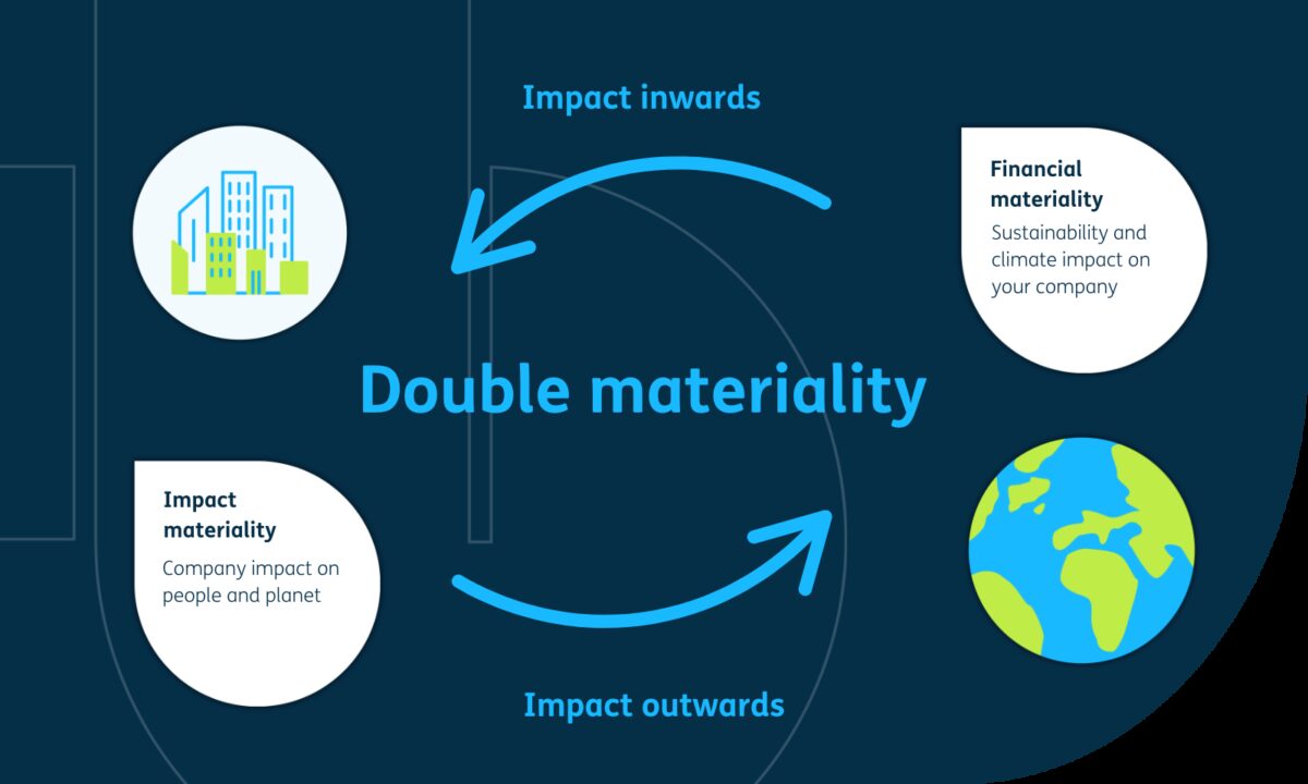 Double materiality graphic blue