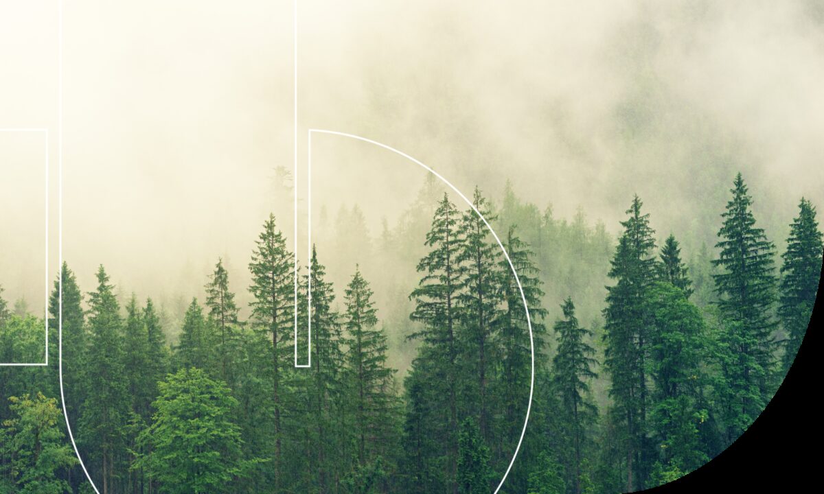 Eco Vadis blog how to improve ecovadis score 2