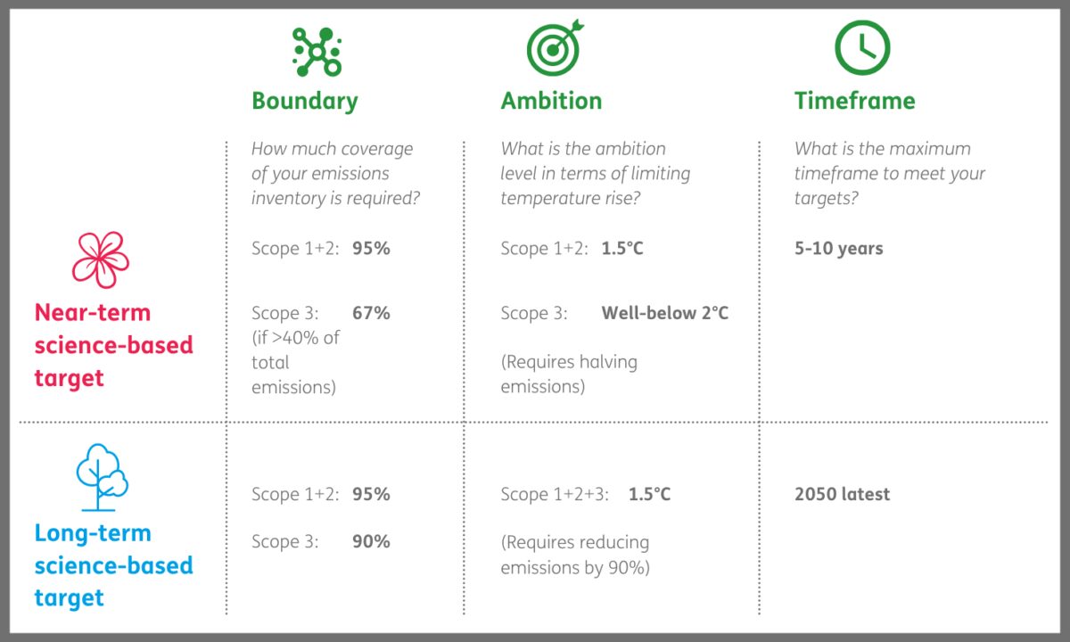 SBT net zero blog piece table border