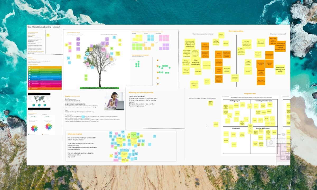 Opap Training Zoom Banner Composite Mural 100