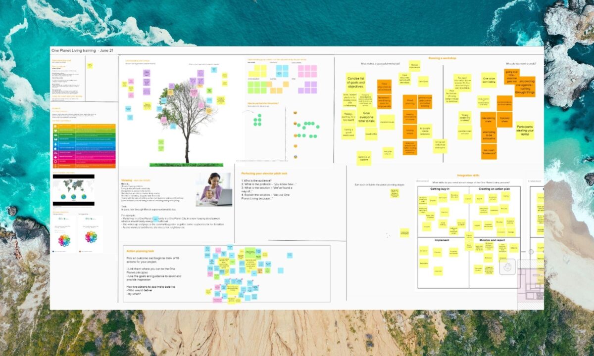 Opap Training Zoom Banner Composite Mural