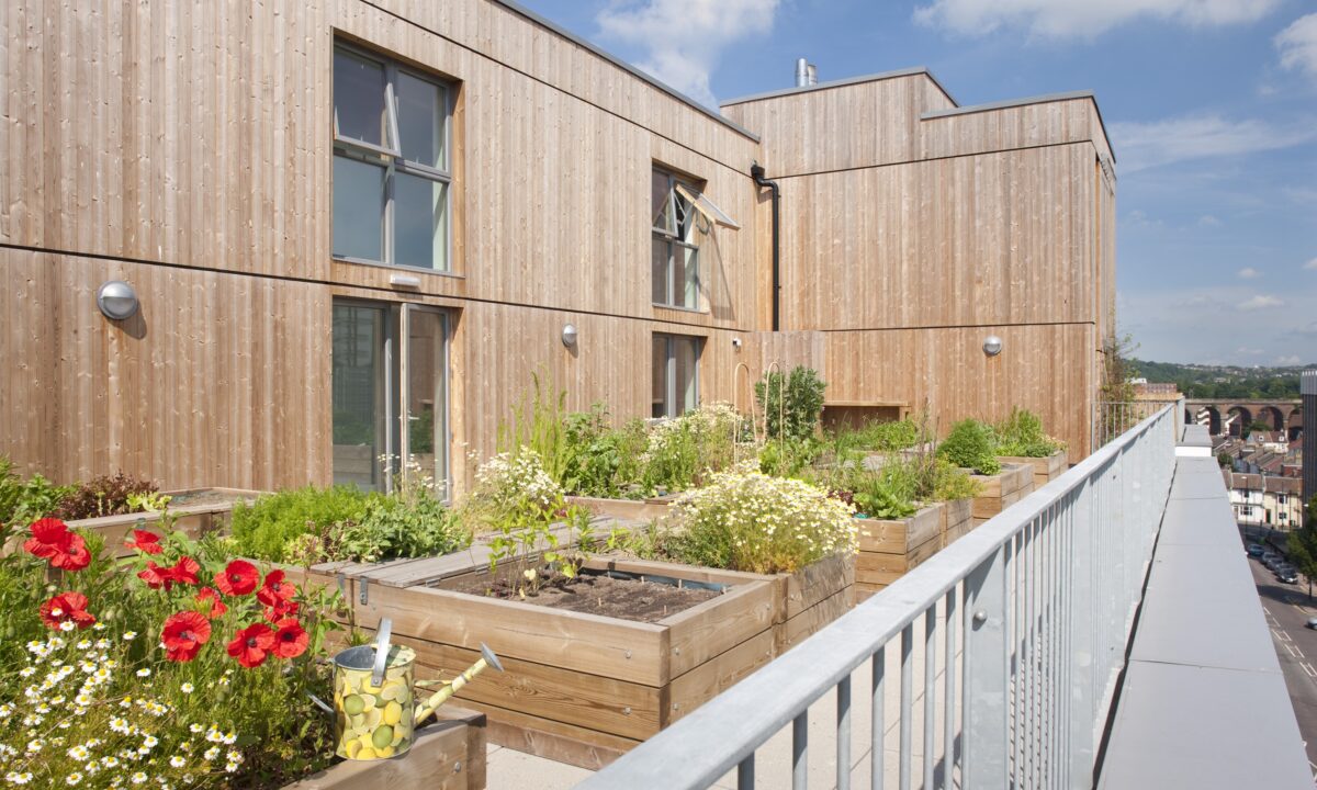 One Brighton One Planet Action Plan