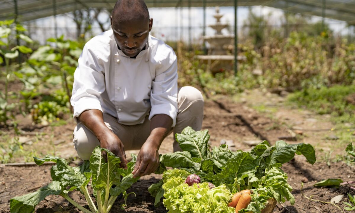 Singita Sasakwa Lodge Vegetable Garden