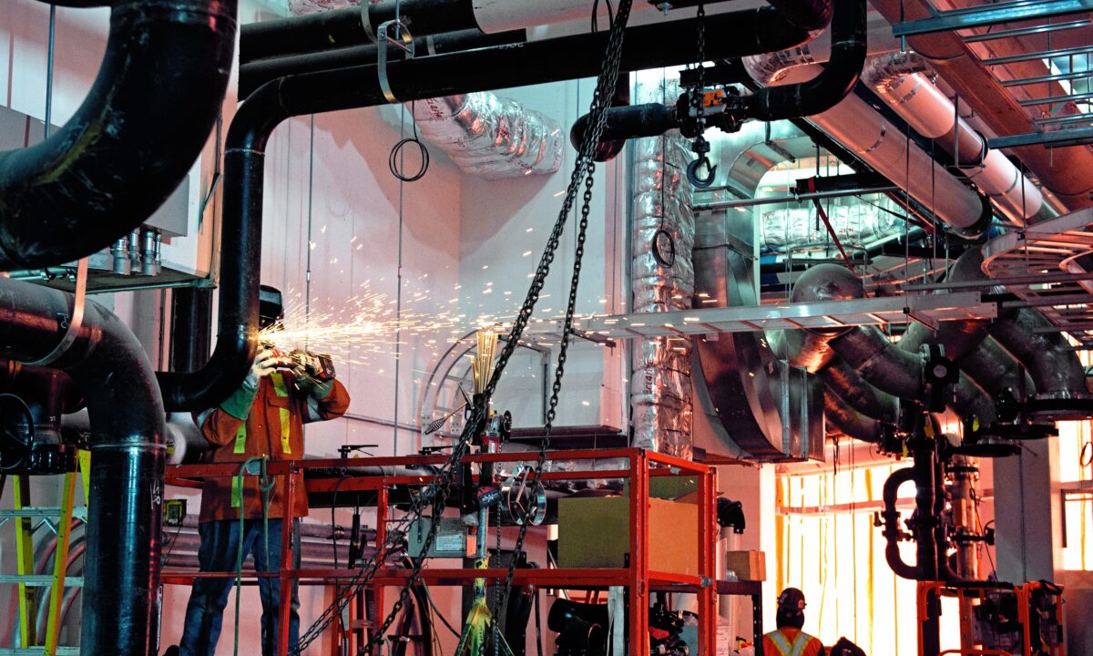 Zibi Zcu Plant Progress 2