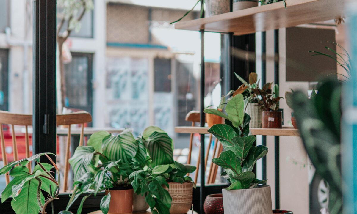 Air pollution by ceyda ciftci unsplash