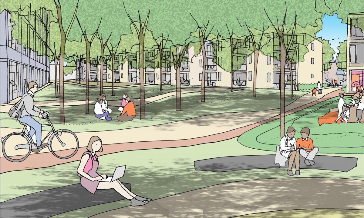 Devonshire Gardens First Base Crop