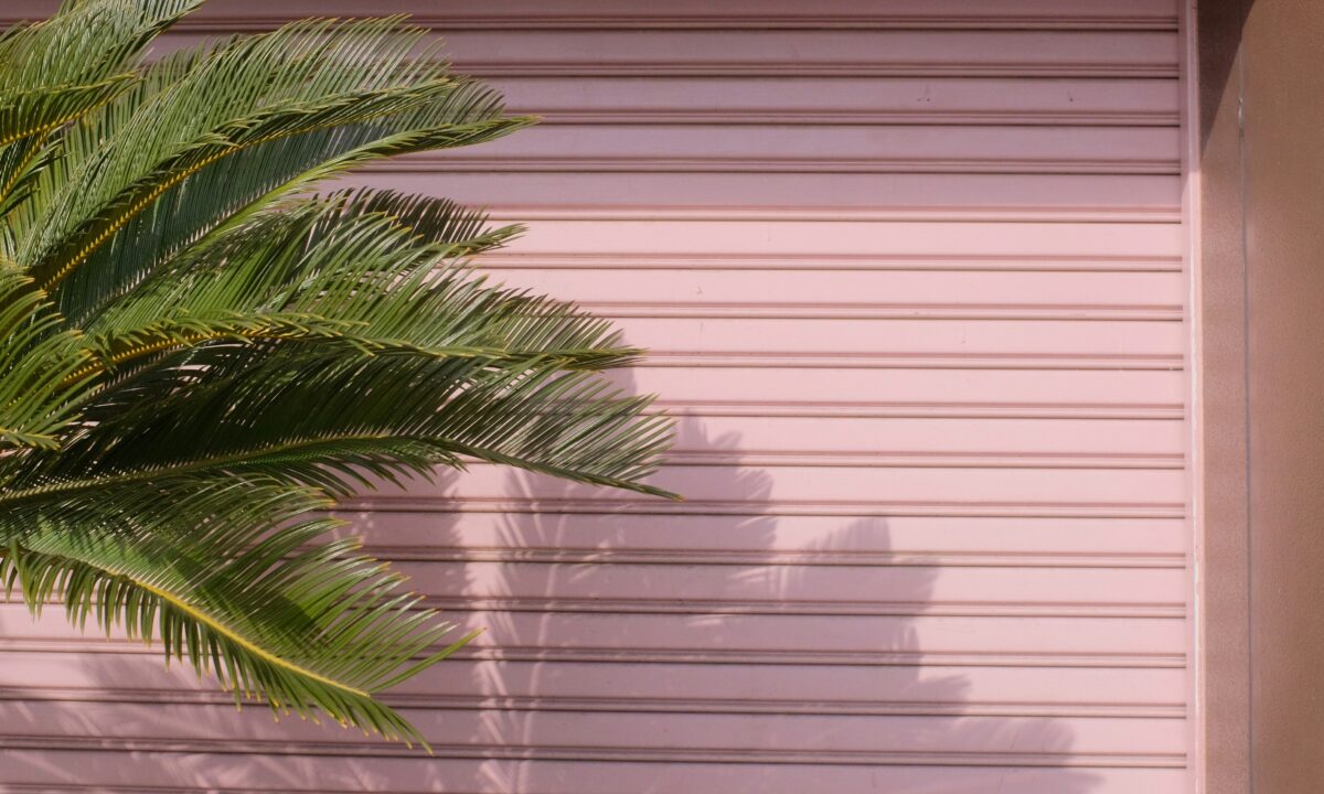 Mak CX Jxf F Anl5g unsplash