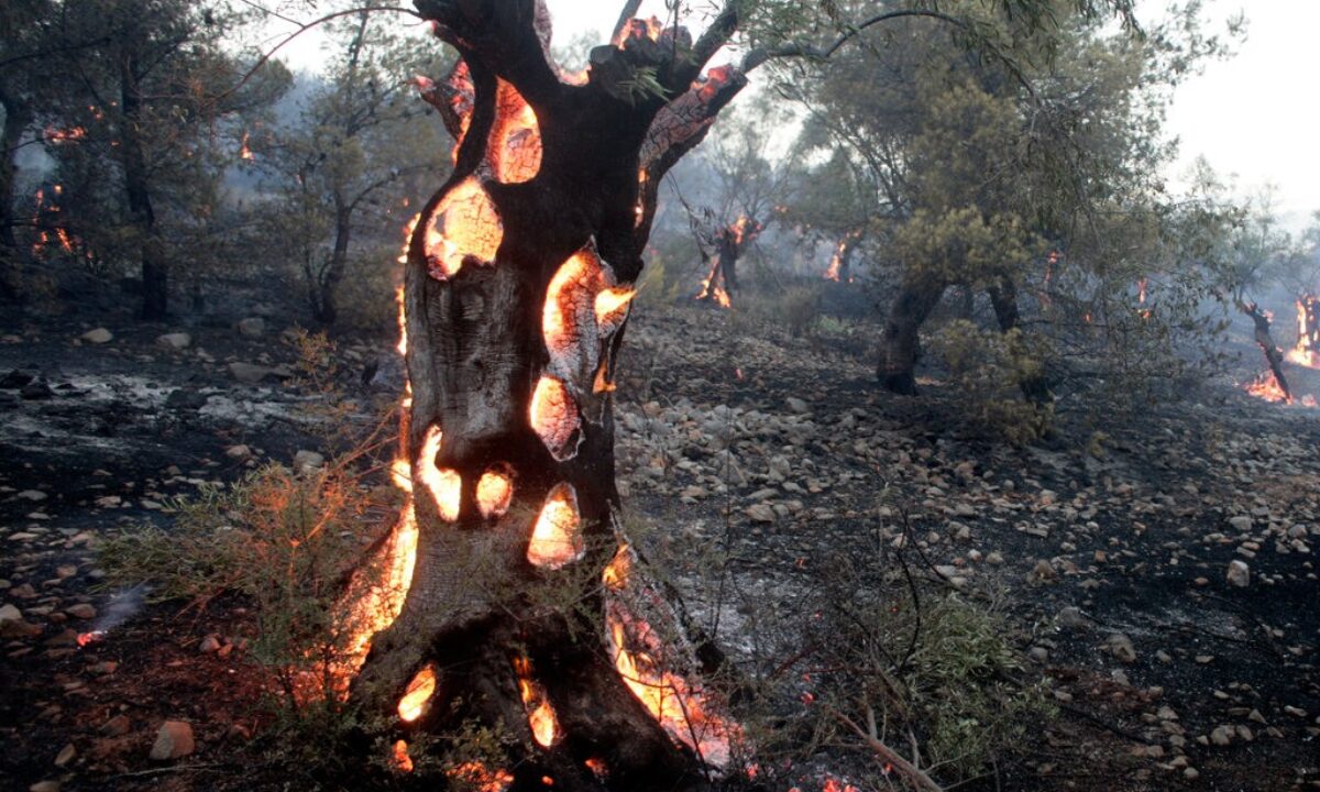 Milos bicanski Climate Visuals Countdown