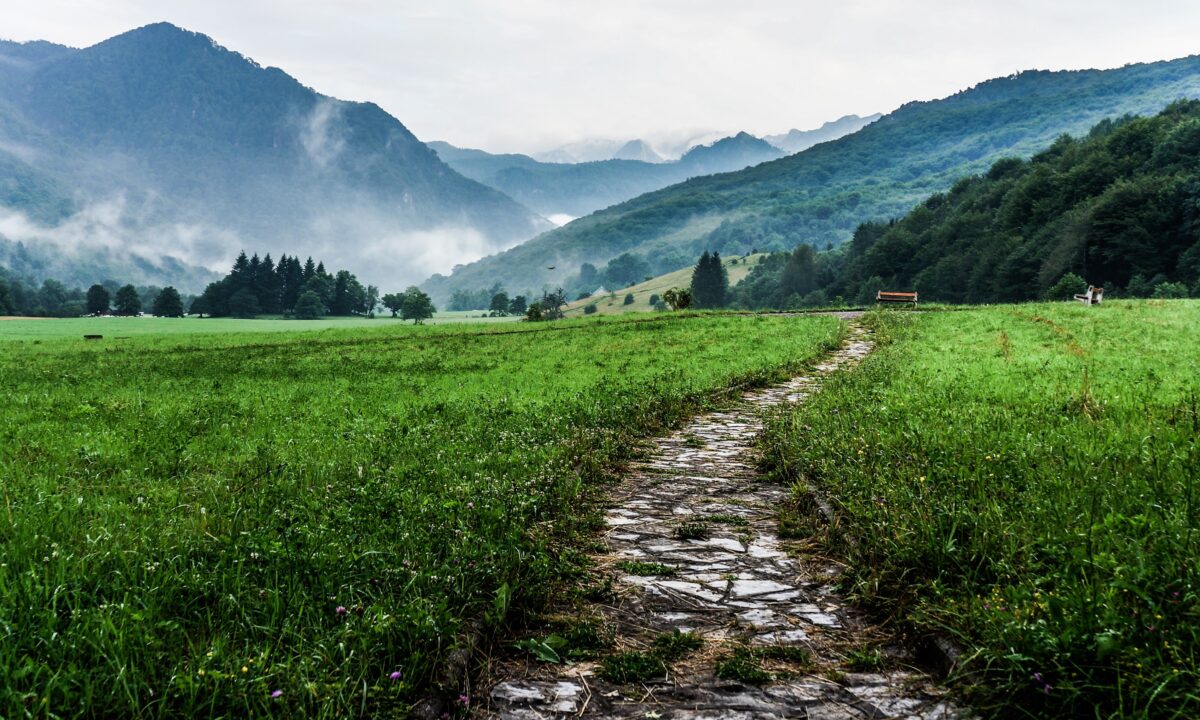 Science based targets approved lili popper unsplash