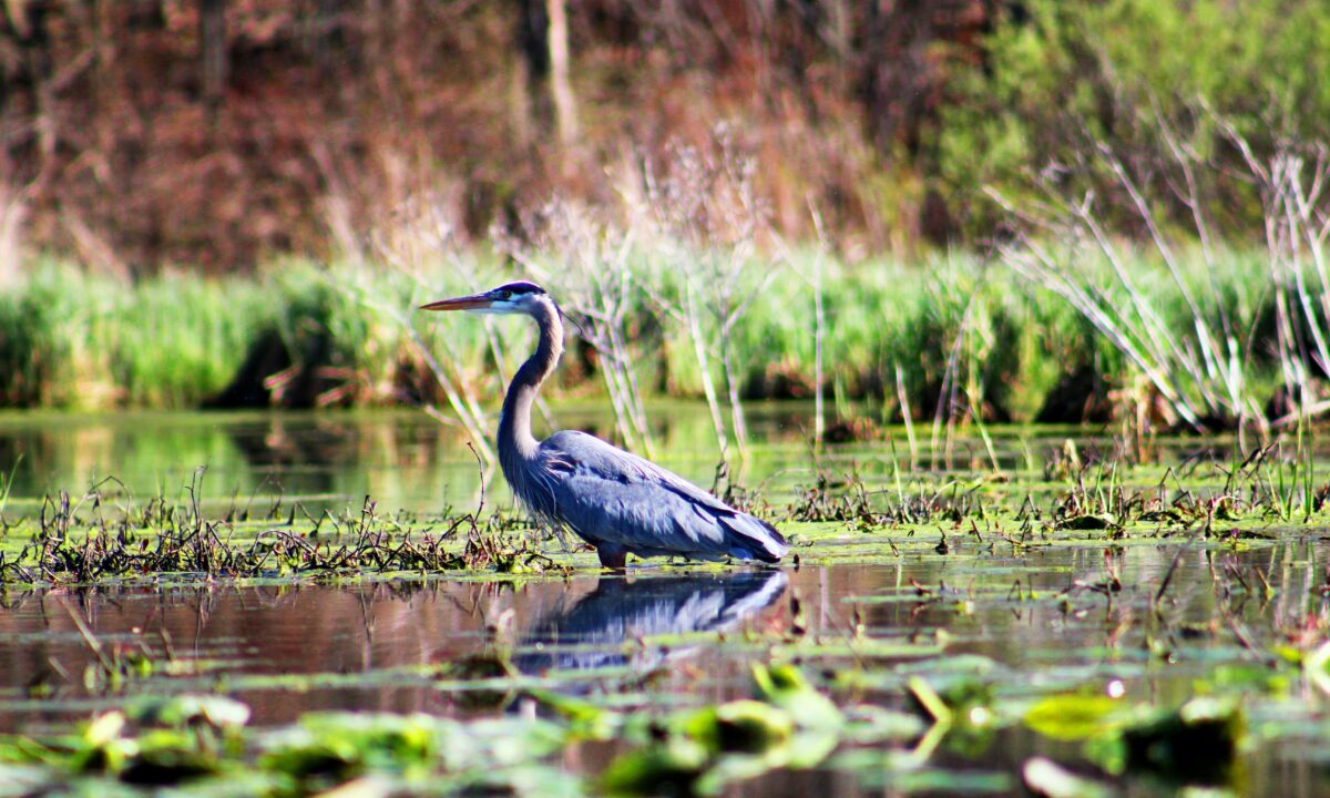 Tyler butler c17n Uw6 HI Fc unsplash