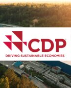 CDP consultancy support web banner logo