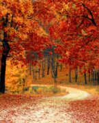 Eco Vadis consultancy support banner