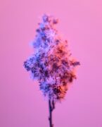 Materials innovation and circularity hero