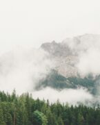 CDP support hero banner clean