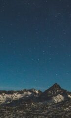 Net zero consultancy banner clean