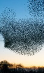 Sustainability training courses hero