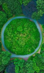 circular economy review