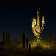 Science based targets SB Ti hero banner