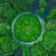 circular economy review