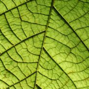 sustainable materials