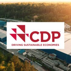 CDP consultancy support web banner logo