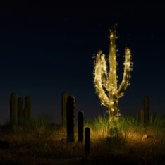 Science based targets SB Ti hero banner