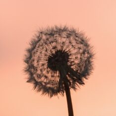 Sustainability reporting banner 2