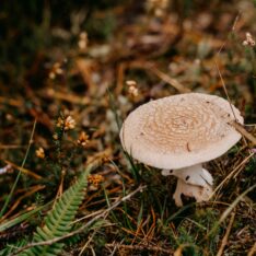 Circular economy hero banner no text