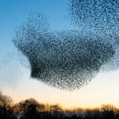 Sustainability training courses hero