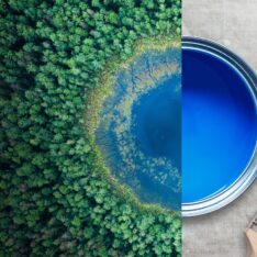 Sustainability Consultants Bioregional