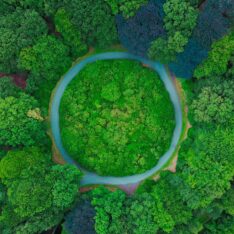 circular economy review