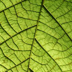 sustainable materials