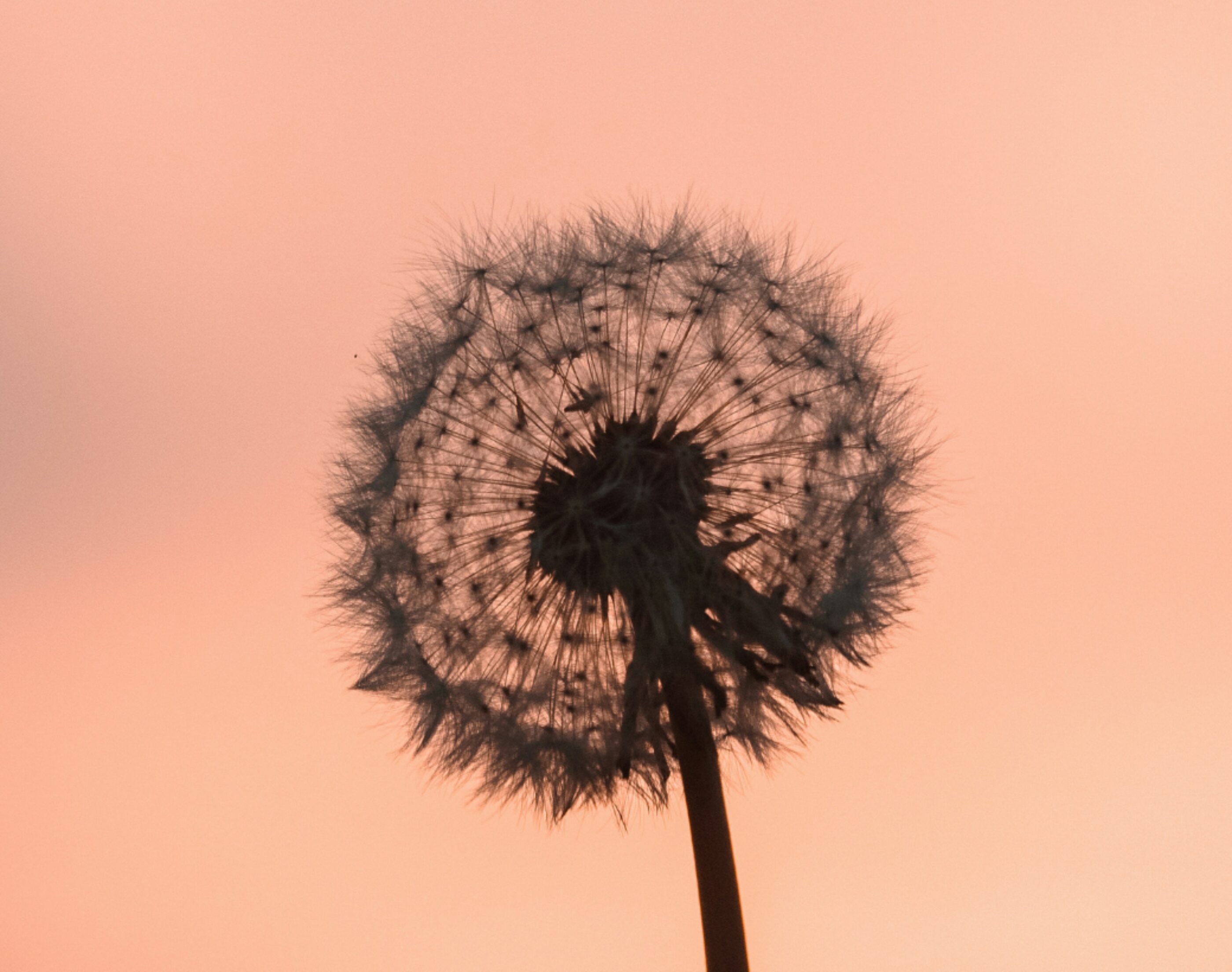 Sustainability reporting banner 2