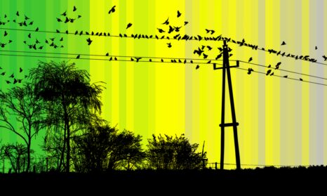 Uk farmland birds with landscape v2 CROP