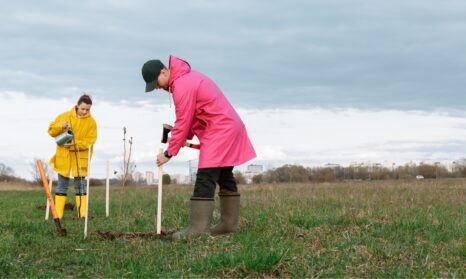 Carbon insetting vs offsetting