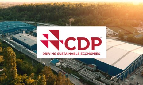 CDP consultancy support web banner logo