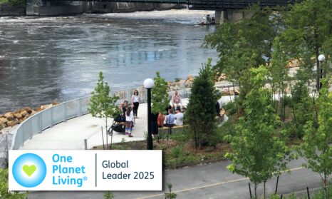 Zibi main banner 2025