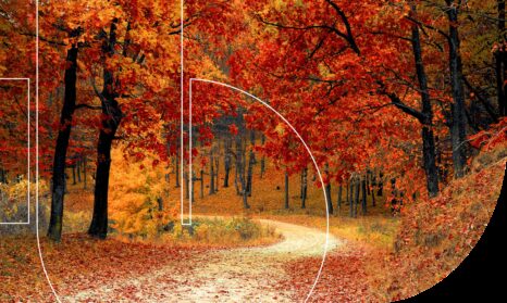 Eco Vadis blog how to improve ecovadis score