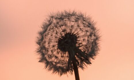 Sustainability reporting banner 2