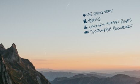 Ecovadis hero banner with text