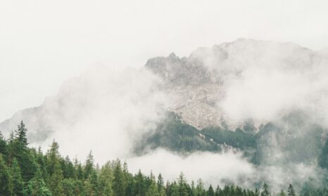 CDP support hero banner clean