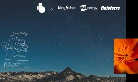 Biz webinar beyond decarbonisation 3