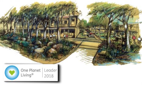 SALT Torquay Global leader web banner templates