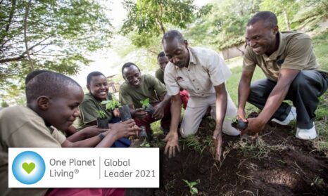 Singita Serengeti One Planet Living Global leader web banner 2021