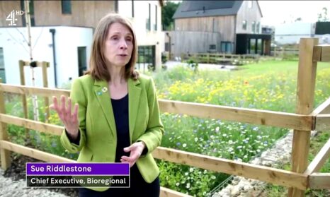 Sue Riddlestone Channel 4 web banner